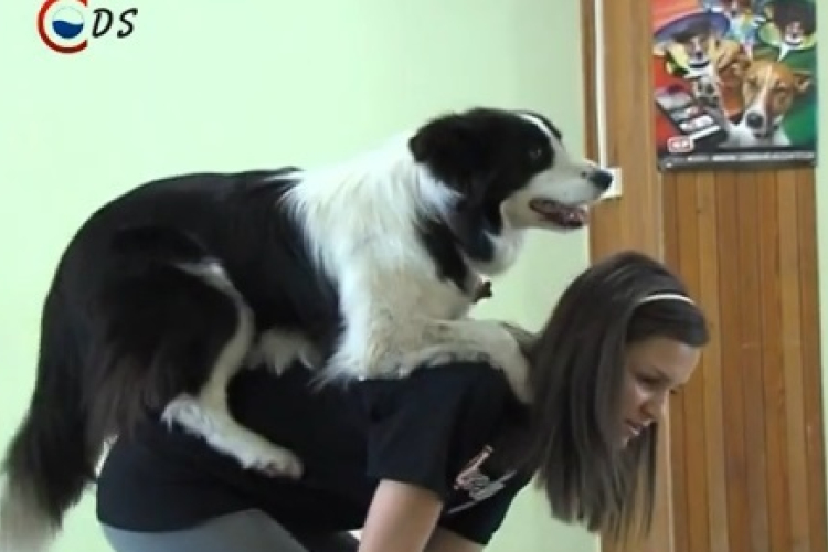 Roxie is bemutatkozott a diákoknak - DSTV videóval