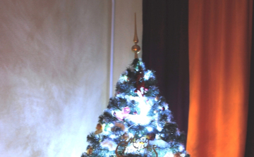 Megvan Dunaújváros legszebb karácsonyfája