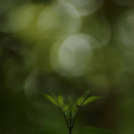 Képeket vegyenek az Arany iskoláért!