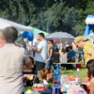 Parázs-varázs képekben