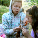 Múzeumok éjszakája 