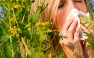 Parlagfűből jól állunk!