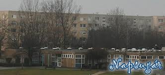 Napsugár is megszépül