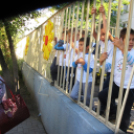 Ovifoci- pályaavató