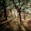 Képeket vegyenek az Arany iskoláért!