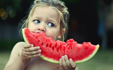 Érkezik a magyar dinnye!