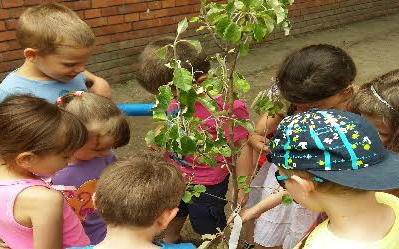 KÖSZ, Hankook!– megvannak a győztesek!