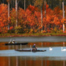 Képeket vegyenek az Arany iskoláért!