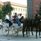 Szüreti felvonulás