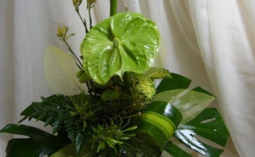 Boldog névnapot Károly!