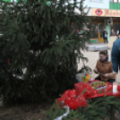 Folytatódik az advent a Rómain