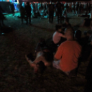 A hulláktól a pandán át a Biohazardig