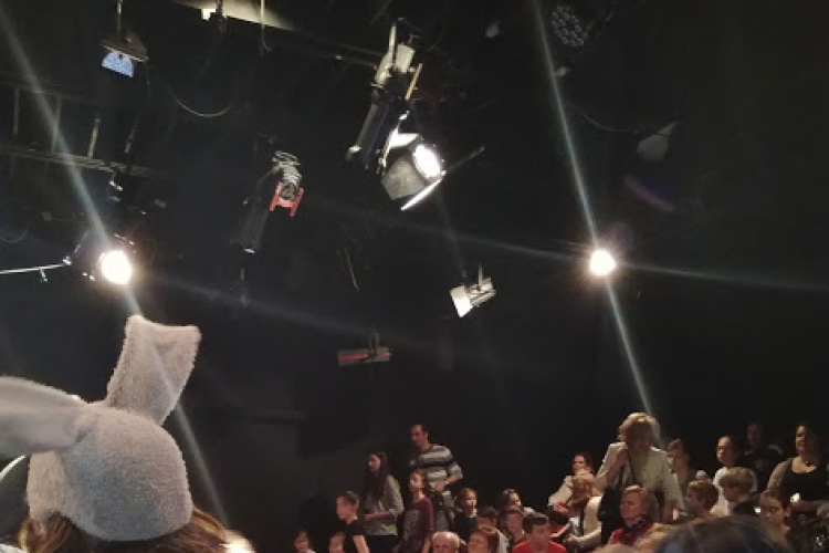 Nyílt nap a Bartókban