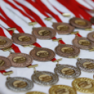 Birkózás tétre kicsiknek és nagyobbaknak