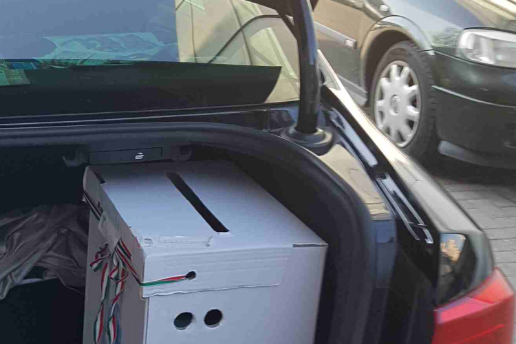 Pintér Tamás győzelme és más  vereségek