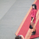 Pályaválasztás 2013