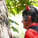 Ördögi mókák az MMK-ban