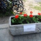 Együtt 2014 kampány-körút  a bejáratnál Gombossal