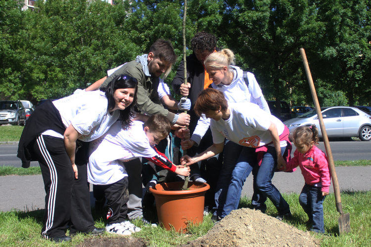 Csak így tovább! Kivirul a város...