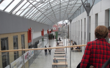 A főiskola és a multi kulti