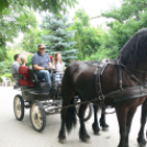 II. Lovagi – testőr családi piknik