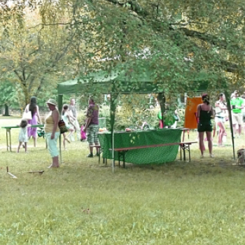 Játékos tudomány - Furfangos csudavilág