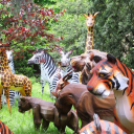 Hónap diákjai az állatkertben