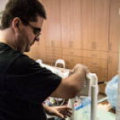 Környezettudatosság a főiskolán