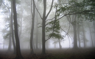 Újabb támadás Dunaújvárosban - DSTV videóval