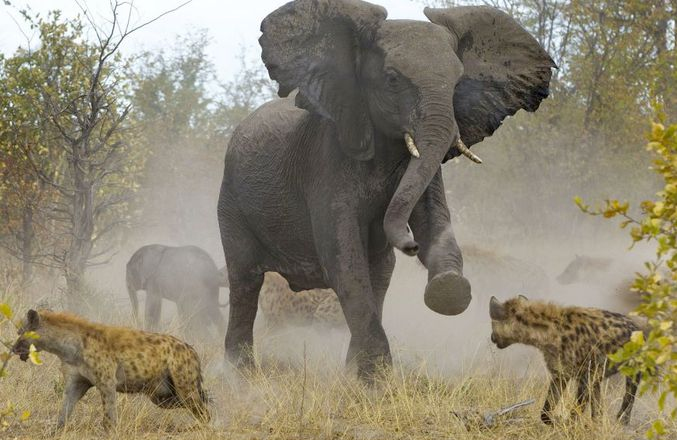 Távhő-csata és a fű