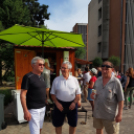 Majális a Városháza téren