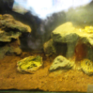 Hónap diákjai az állatkertben