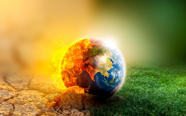 Agrárminisztérium: mintegy 160 millió facsemetével biztosított az erdőtelepítések kiszolgálása