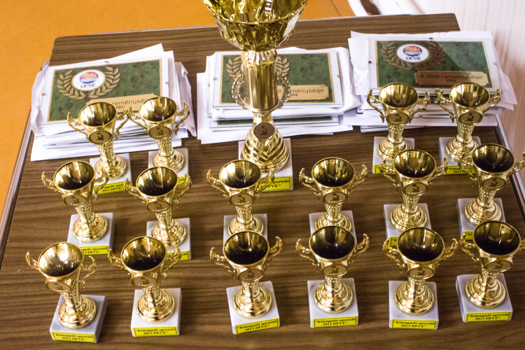 A DFVE utánpótlás legjobbjai