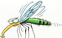 Jaj, a szúnyogoknak!