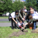 Új arcot kapott a Római városrész