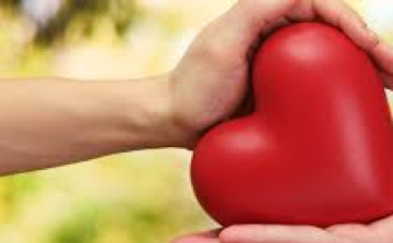 Fontos Önnek az egészsége?