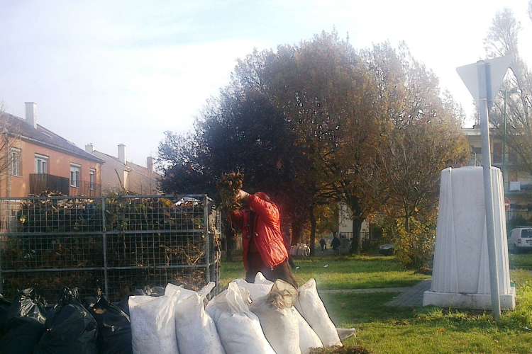 Szedik a faleveleket