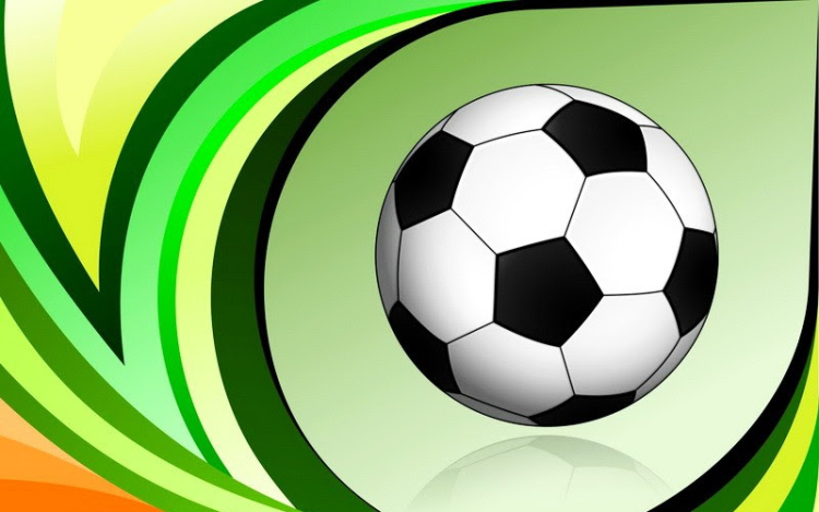 Terem-labdarúgók bajnoksága