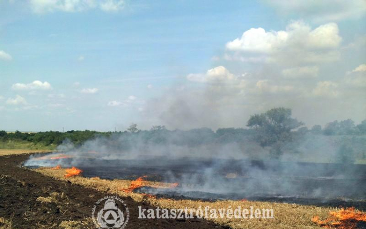 Tarló égett Előszállásnál 