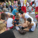 Guinness rekord újatöltve -Alexandra Treit Busai és mások képei