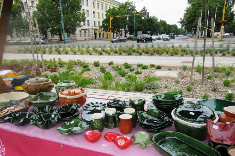Megyenap városunkban