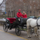 Esküvő kiállítás a Campusban