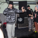 Bagolyköpet a Kaptárban