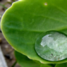 Képeket vegyenek az Arany iskoláért!