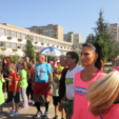 Pazar időben színes programok Szent Mihály napján