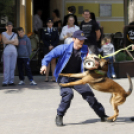 Szívvel-lélekkel a védelmünkben