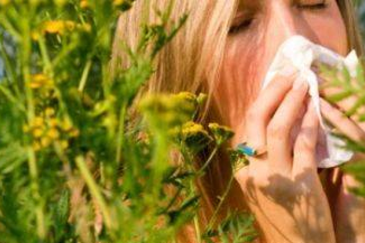 Parlagfűből jól állunk