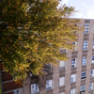 Túszdráma a Szórádon