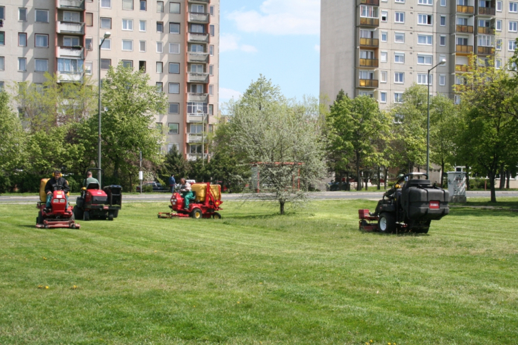 Parkok, erdők ősszel